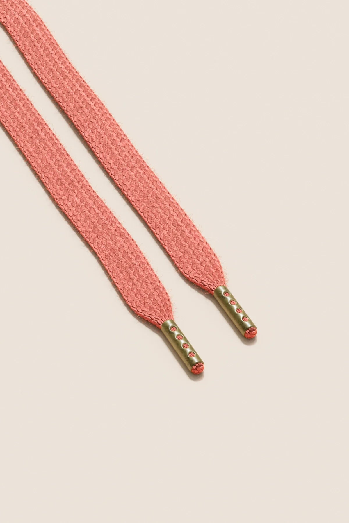 El Naturalista BARE - Salmon